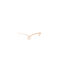 Compagnie de rose blanche